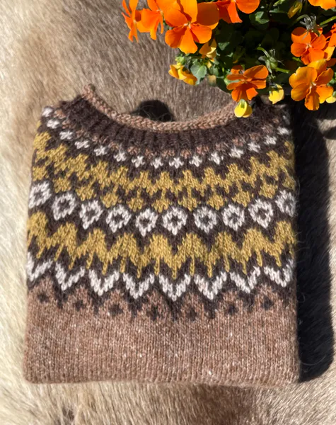 Hovedbilde Riddari genser barn - brun garnpakke